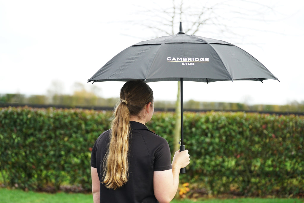 Umbrella