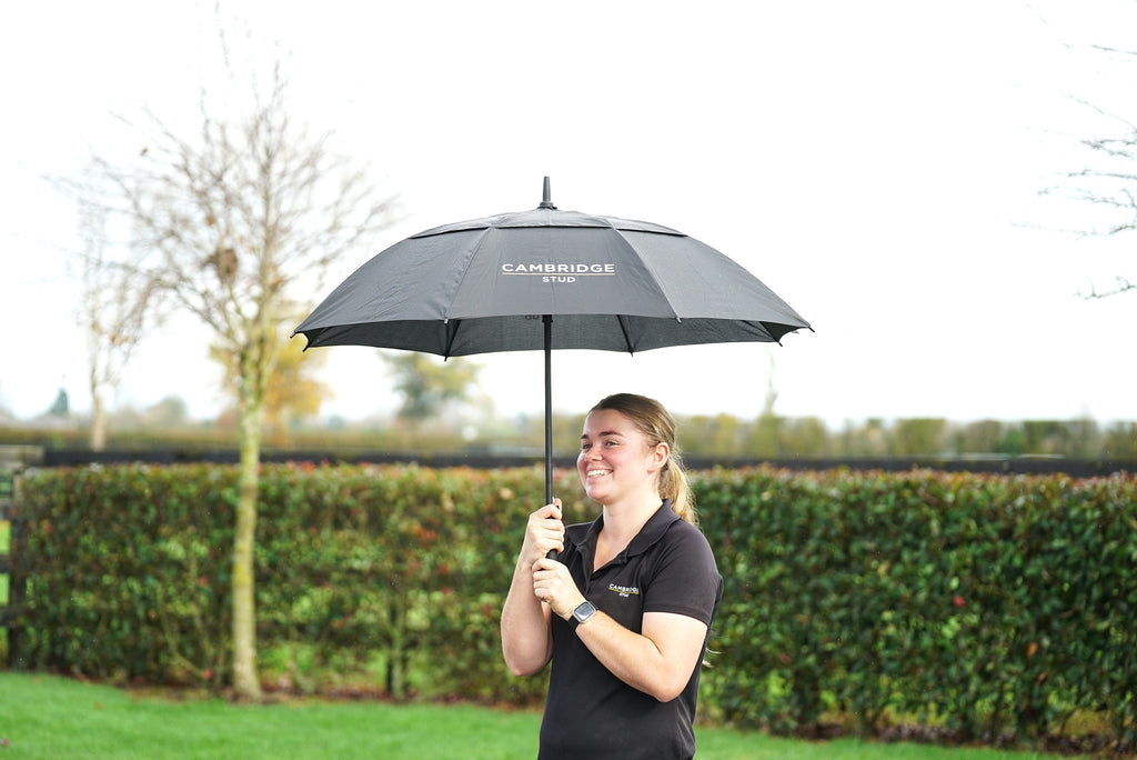 Umbrella