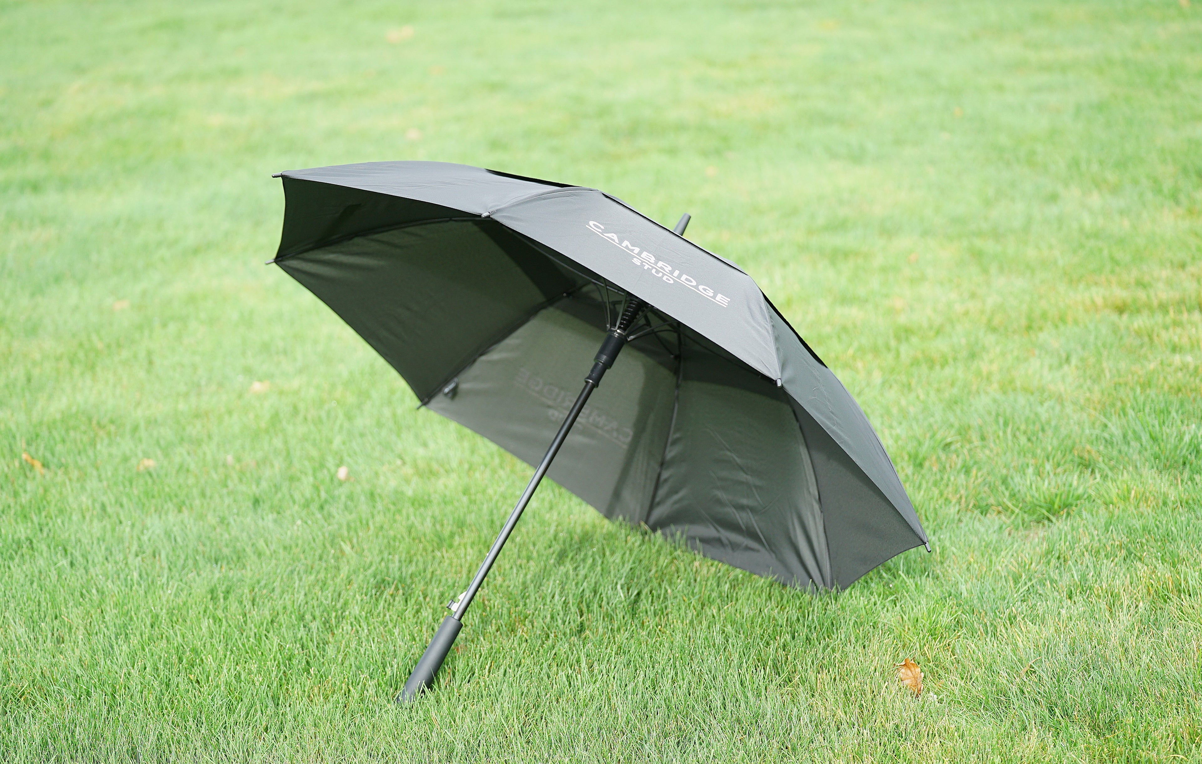 Umbrella
