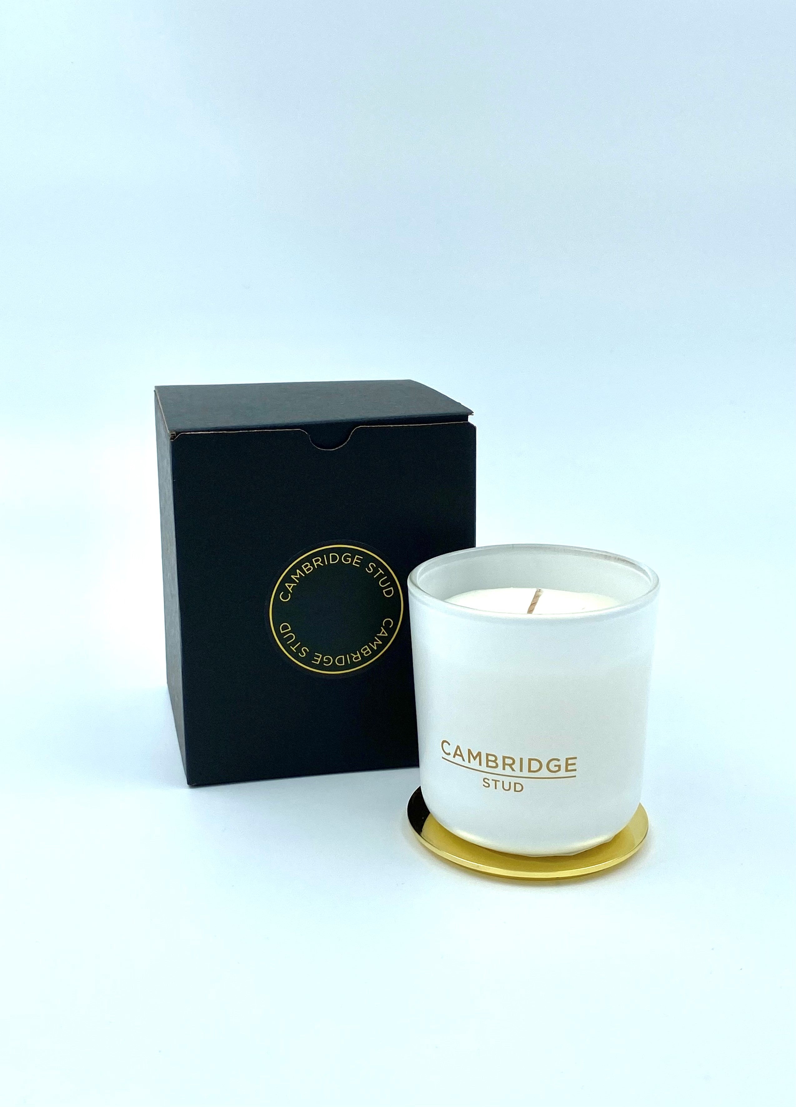 Lemongrass 250ml Candle